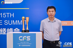 CFS˫�����ᣡ���������������� +����
